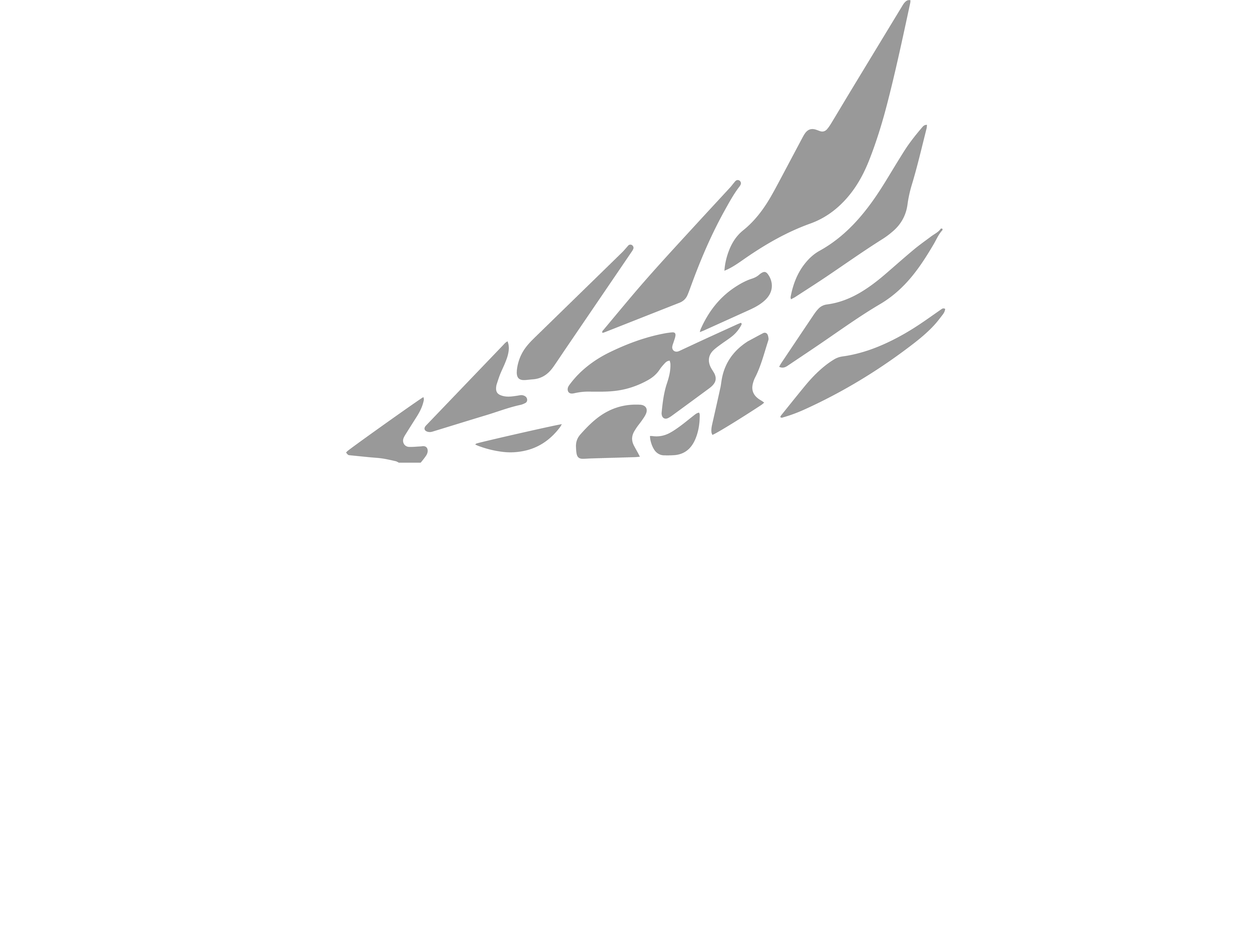 Cyber eagles logo